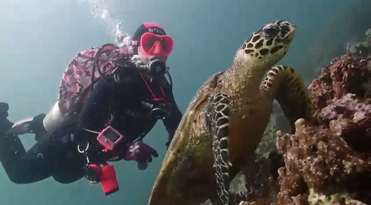 Rania diving beside a sea turtle